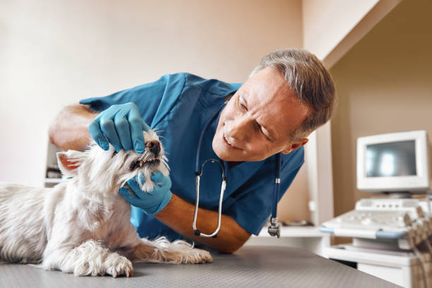 Best Pediatric Emergency Dentist in Hutchinson Island South, FL