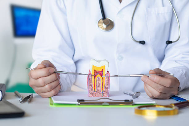 Best Emergency Root Canal Treatment in Hutchinson Island South, FL